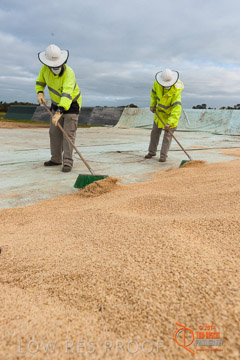 VITERRA 2013 / BUNKER_SWEEPING_024_140617