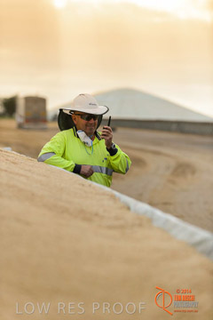 VITERRA 2013 / BUNKER_TALK_005_140617