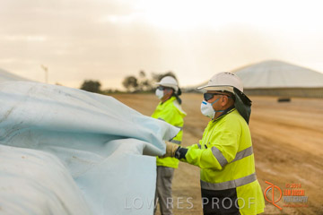 VITERRA 2013 / BUNKER_TARP_007_140617