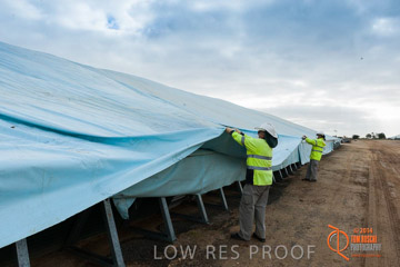 VITERRA 2013 / BUNKER_TARP_009_140617
