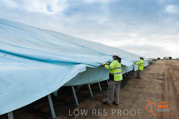 VITERRA 2013 / BUNKER_TARP_010_140617