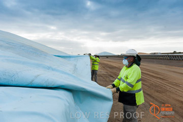 VITERRA 2013 / BUNKER_TARP_013_140617