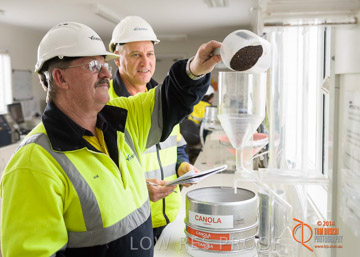 VITERRA 2013 / CANOLA_SCREENING_010_140617