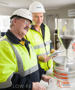 VITERRA 2013 / CANOLA_SCREENING_014_140617