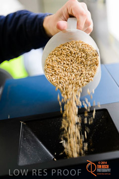 VITERRA 2013 / PROTEIN_TEST_026_140617