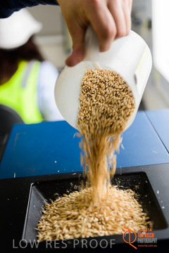 VITERRA 2013 / PROTEIN_TEST_028_140617