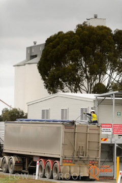 VITERRA 2013 / ROSEWORTHY_159_140617