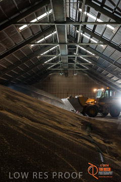 VITERRA 2013 / SHED_001_140617