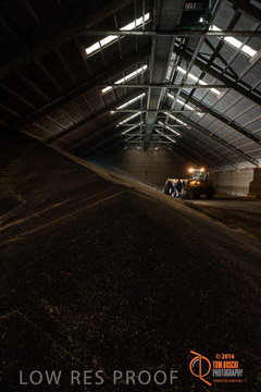 VITERRA 2013 / SHED_005_140617