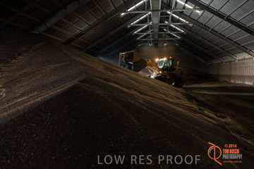 VITERRA 2013 / SHED_010_140617