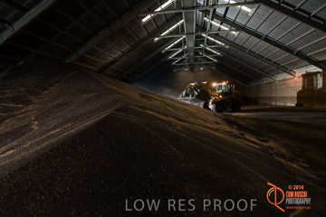 VITERRA 2013 / SHED_011_140617