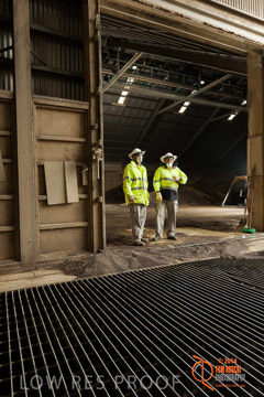 VITERRA 2013 / SHED_036_140617