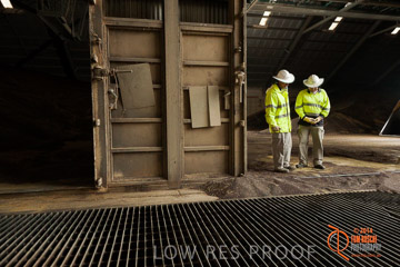 VITERRA 2013 / SHED_040_140617