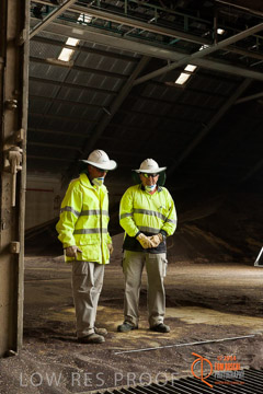 VITERRA 2013 / SHED_042_140617