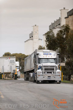 VITERRA 2013 / WEIGHBRIDGE_012_140617