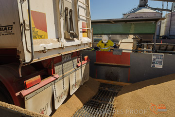 VITERRA 2013 / VITERRA_WALLAROO_033_140829