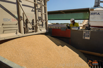 VITERRA 2013 / VITERRA_WALLAROO_035_140829