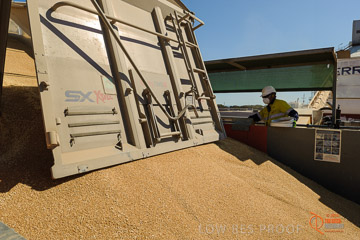 VITERRA 2013 / VITERRA_WALLAROO_036_140829
