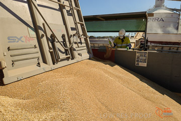 VITERRA 2013 / VITERRA_WALLAROO_039_140829