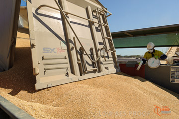 VITERRA 2013 / VITERRA_WALLAROO_040_140829