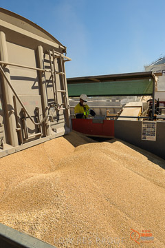 VITERRA 2013 / VITERRA_WALLAROO_047_140829