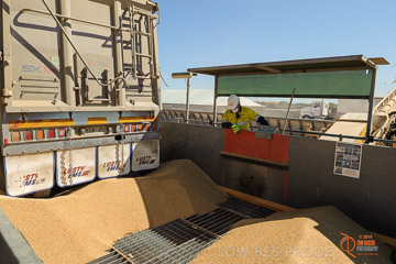 VITERRA 2013 / VITERRA_WALLAROO_066_140829