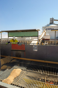 VITERRA 2013 / VITERRA_WALLAROO_073_140829