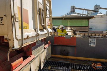 VITERRA 2013 / VITERRA_WALLAROO_080_140829