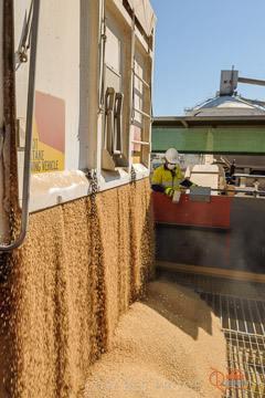 VITERRA 2013 / VITERRA_WALLAROO_089_140829