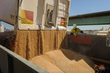 VITERRA 2013 / VITERRA_WALLAROO_102_140829