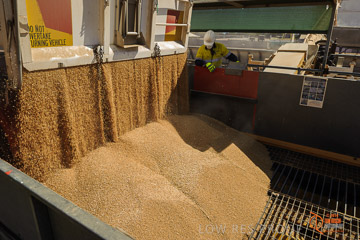 VITERRA 2013 / VITERRA_WALLAROO_109_140829