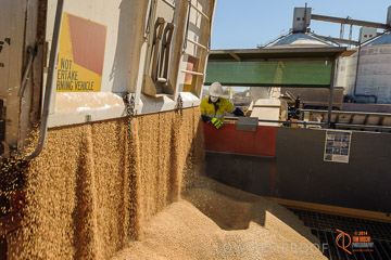 VITERRA 2013 / VITERRA_WALLAROO_117_140829