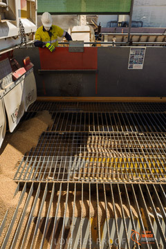 VITERRA 2013 / VITERRA_WALLAROO_126_140829