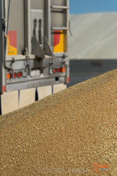 VITERRA 2013 / VITERRA_WALLAROO_145_140829