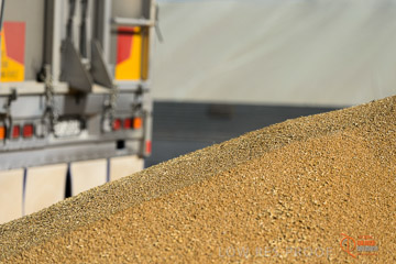 VITERRA 2013 / VITERRA_WALLAROO_146_140829