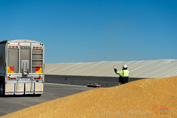VITERRA 2013 / VITERRA_WALLAROO_151_140829