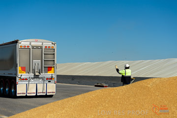 VITERRA 2013 / VITERRA_WALLAROO_152_140829