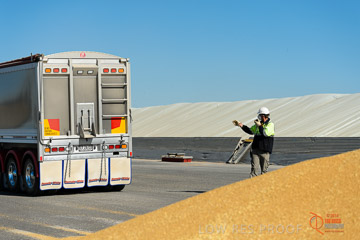 VITERRA 2013 / VITERRA_WALLAROO_158_140829