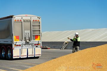 VITERRA 2013 / VITERRA_WALLAROO_159_140829