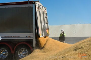 VITERRA 2013 / VITERRA_WALLAROO_168_140829