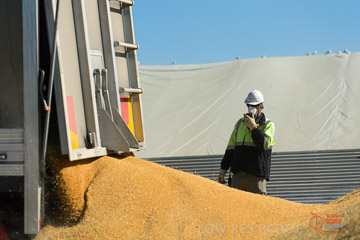 VITERRA 2013 / VITERRA_WALLAROO_171_140829