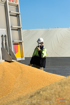 VITERRA 2013 / VITERRA_WALLAROO_173_140829
