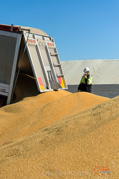 VITERRA 2013 / VITERRA_WALLAROO_185_140829