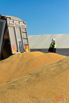 VITERRA 2013 / VITERRA_WALLAROO_187_140829