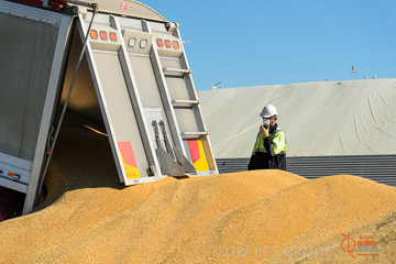 VITERRA 2013 / VITERRA_WALLAROO_191_140829