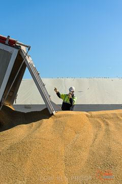 VITERRA 2013 / VITERRA_WALLAROO_195_140829