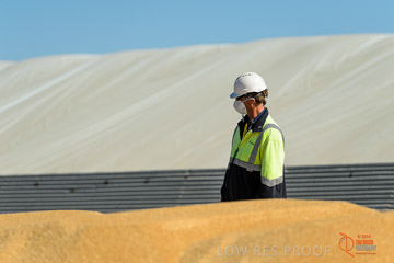 VITERRA 2013 / VITERRA_WALLAROO_201_140829