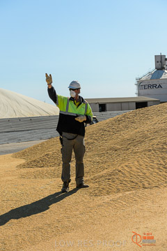 VITERRA 2013 / VITERRA_WALLAROO_209_140829