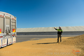 VITERRA 2013 / VITERRA_WALLAROO_214_140829