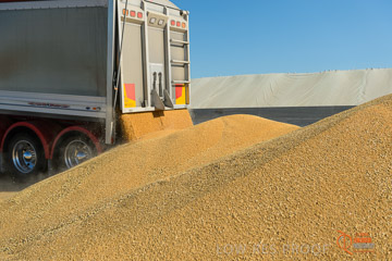 VITERRA 2013 / VITERRA_WALLAROO_224_140829